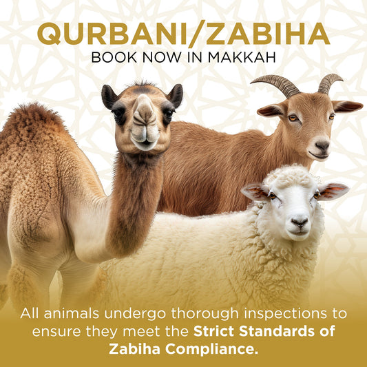 Qurbani In Makkah + Meat Distributed To Poor In Makkah